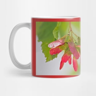 Red Seeds of Maple Tree Mug